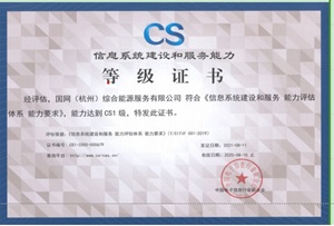 CS 信息系統(tǒng)建設(shè)和服務(wù)能力評(píng)估